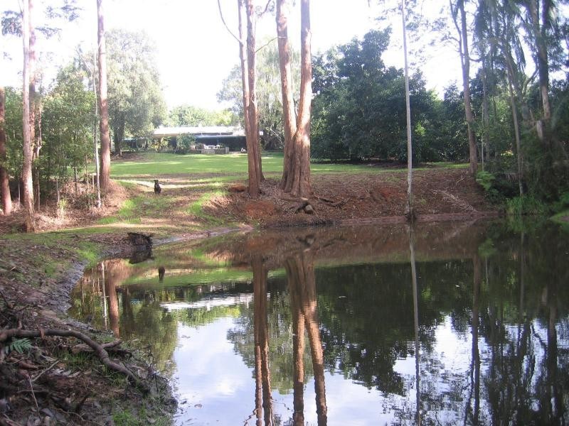 Palmwoods QLD 4555
