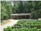 Palmwoods QLD 4555
