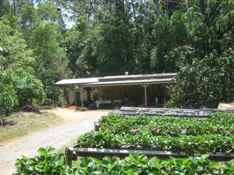Palmwoods QLD 4555