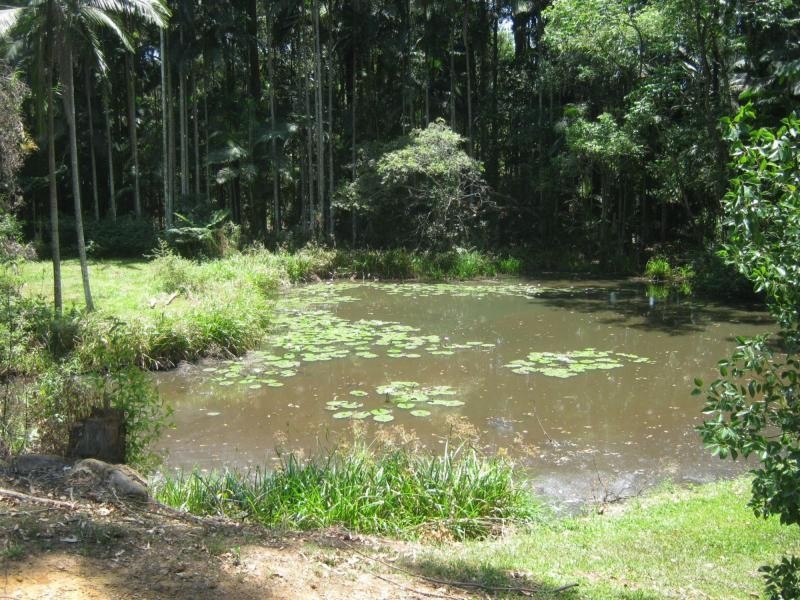 Palmwoods QLD 4555