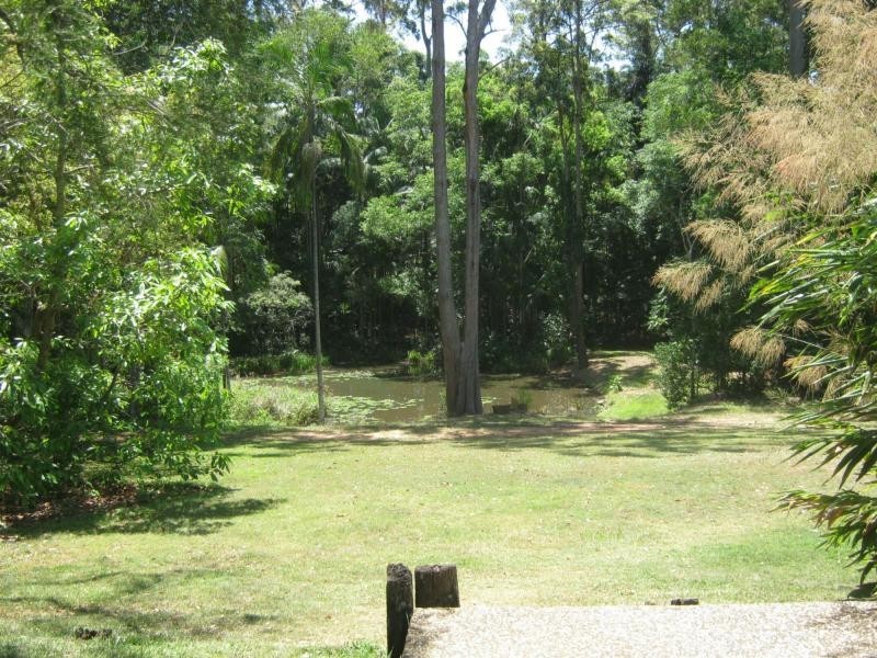 Palmwoods QLD 4555