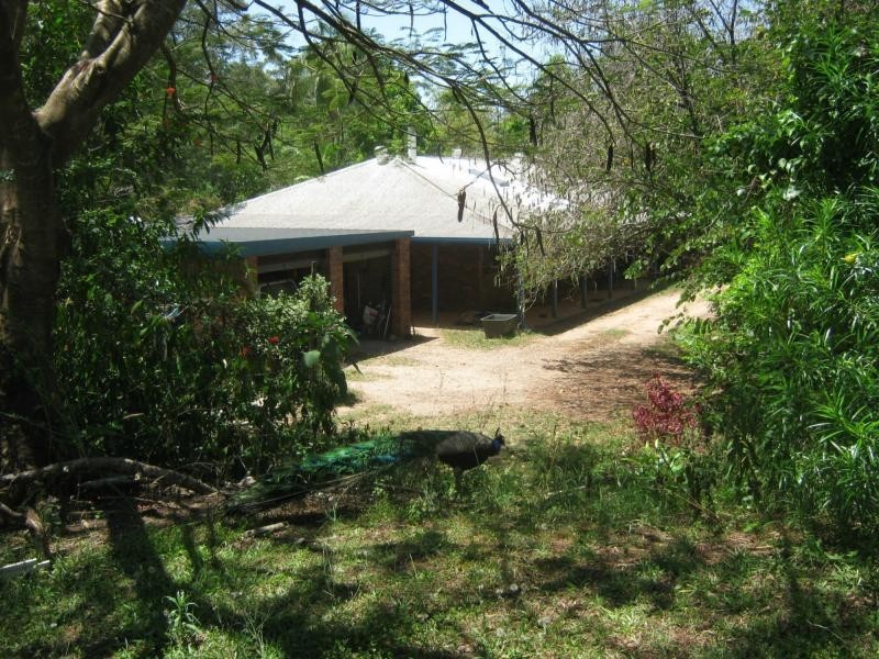 Palmwoods QLD 4555