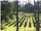 Palmwoods QLD 4555