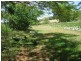Palmwoods QLD 4555