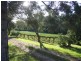 Palmwoods QLD 4555