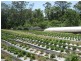 Palmwoods QLD 4555