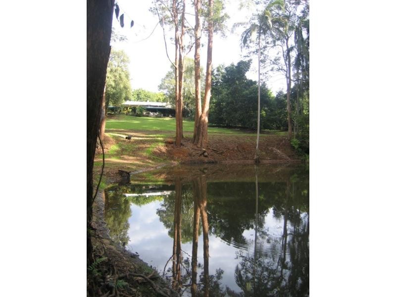 Palmwoods QLD 4555