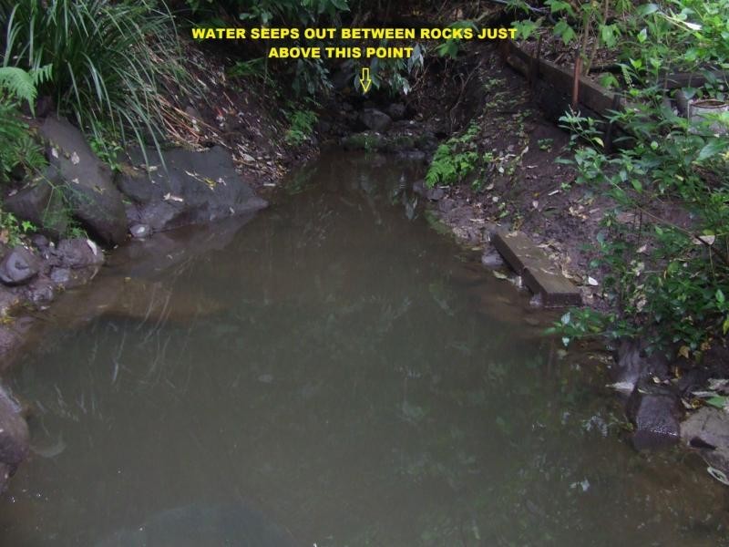 399 Perwillowen Road, Perwillowen QLD 4560