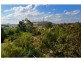 36 Kentia Street, Highworth QLD 4560