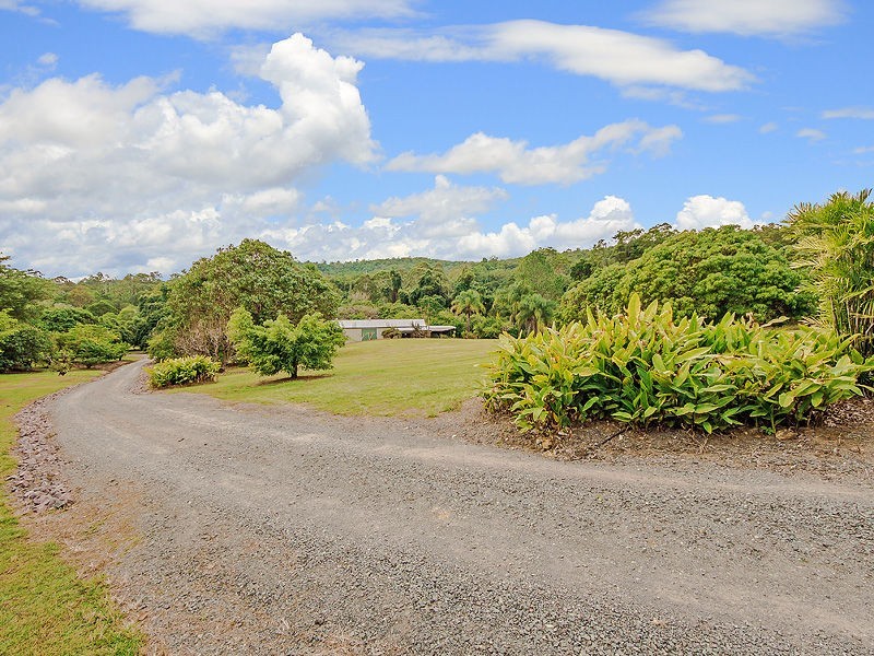 48 ROYS Road, Palmwoods QLD 4555