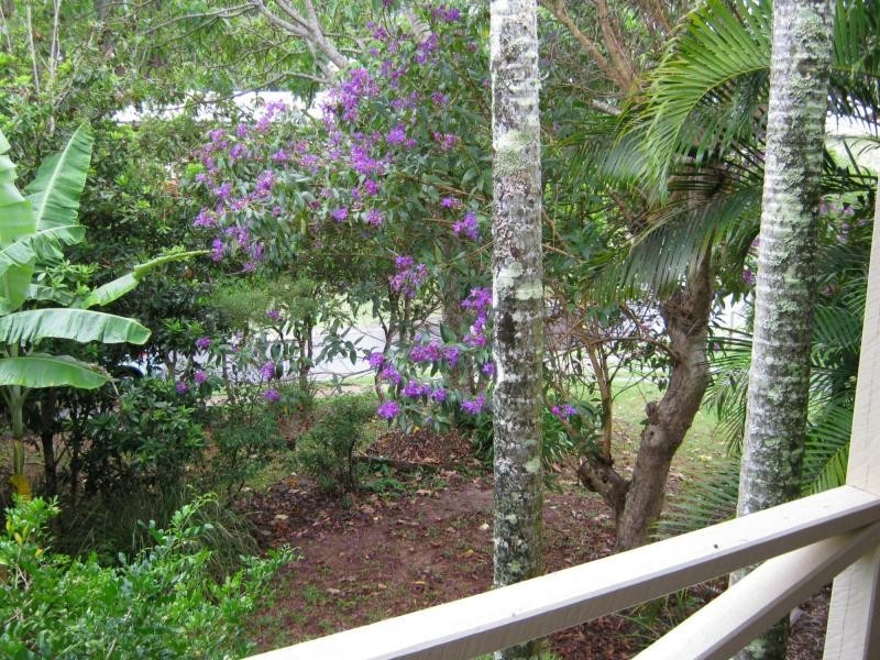 16 KOLORA PLACE, Palmwoods QLD 4555