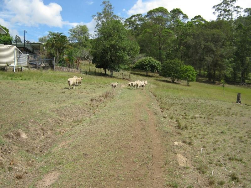 50 MISTY RISE Road, Nambour QLD 4560