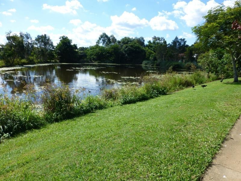 49 PETIGRAIN Avenue, Palmwoods QLD 4555