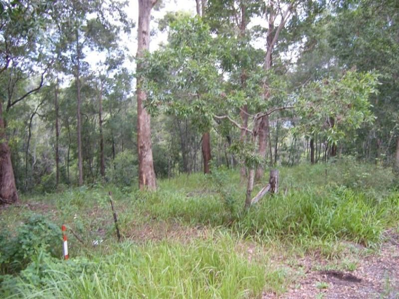 557 DULONG Road, West Woombye QLD 4559