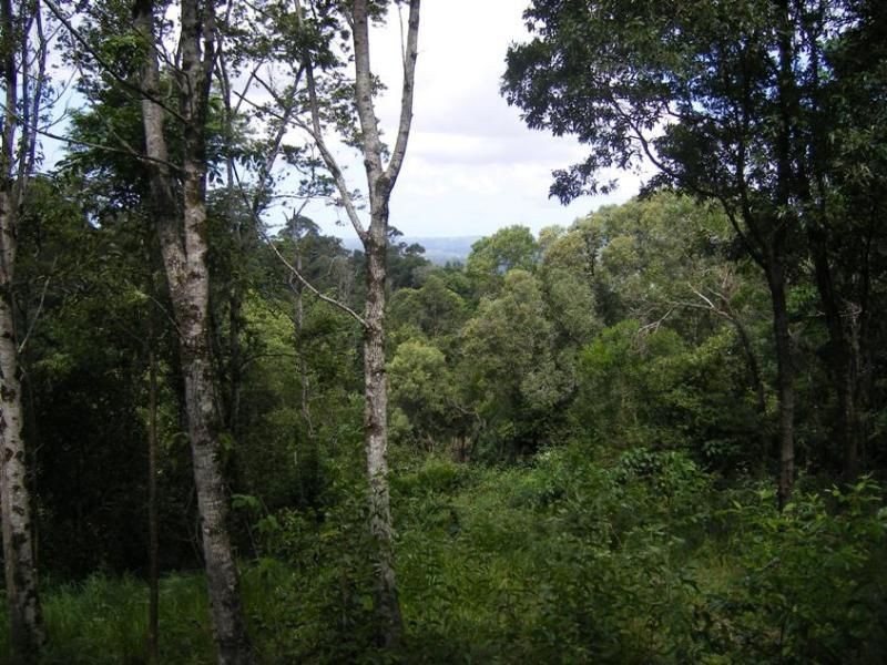 557 DULONG Road, West Woombye QLD 4559