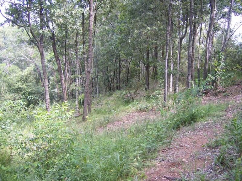 557 DULONG Road, West Woombye QLD 4559