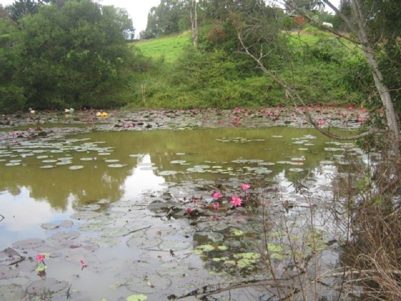 204 Coes Creek Road, Coes Creek QLD 4560