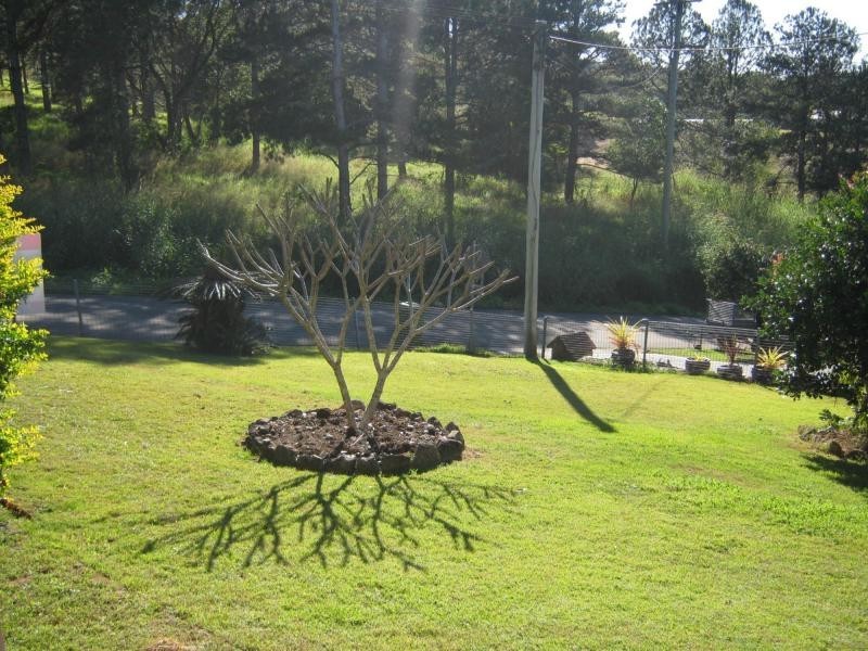 12 Wilson Lane, Woombye QLD 4559