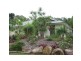 17 Egret Street, Woombye QLD 4559