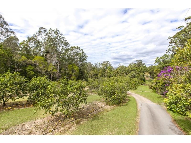 51 MCKEES Road, Palmwoods QLD 4555