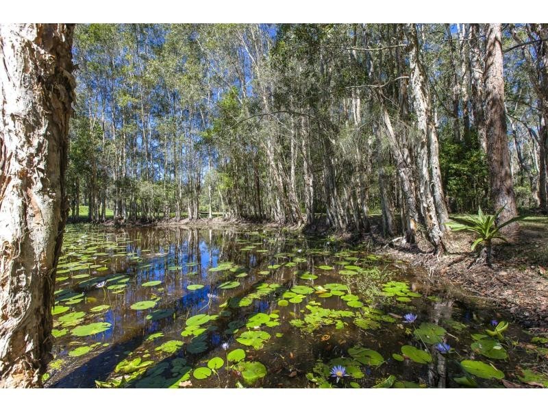 82 RIVER GUM DRIVE, Diddillibah QLD 4559