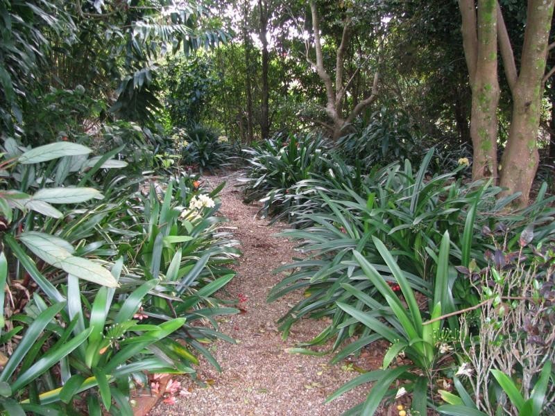 3 Cycad Place, Flaxton QLD 4560