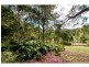 431 BLACKALL RANGE Road, West Woombye QLD 4559