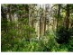 431 BLACKALL RANGE Road, West Woombye QLD 4559