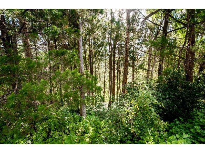 431 BLACKALL RANGE Road, West Woombye QLD 4559