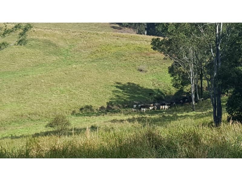 522 HUNCHY Road, Hunchy QLD 4555