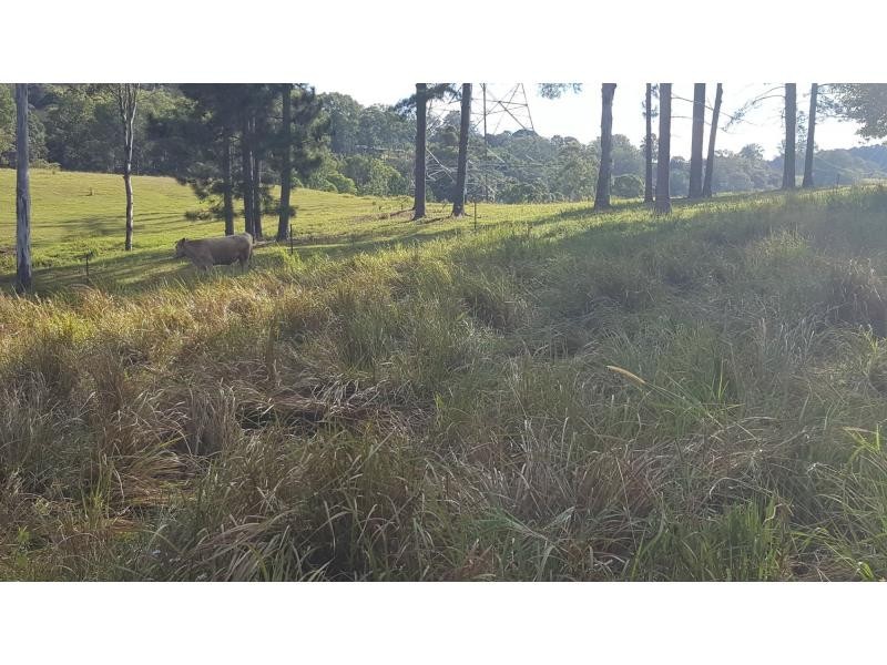 522 HUNCHY Road, Hunchy QLD 4555