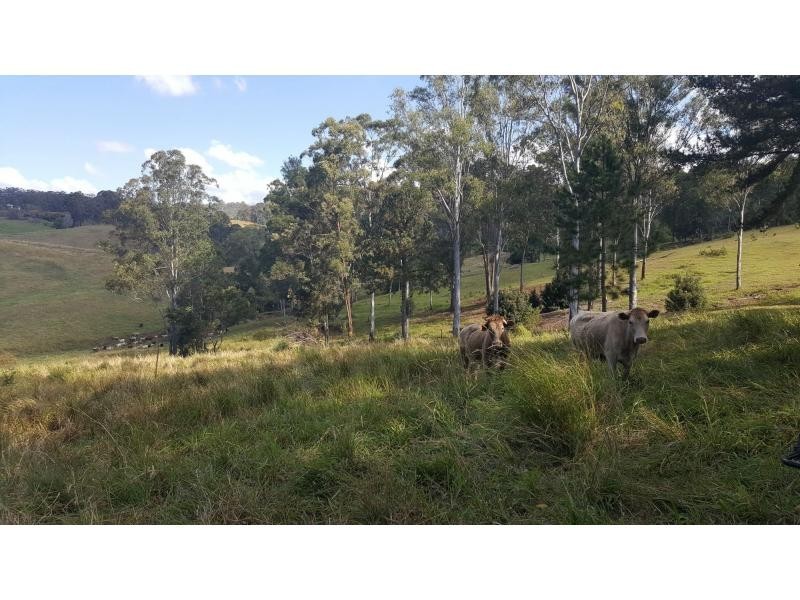522 HUNCHY Road, Hunchy QLD 4555