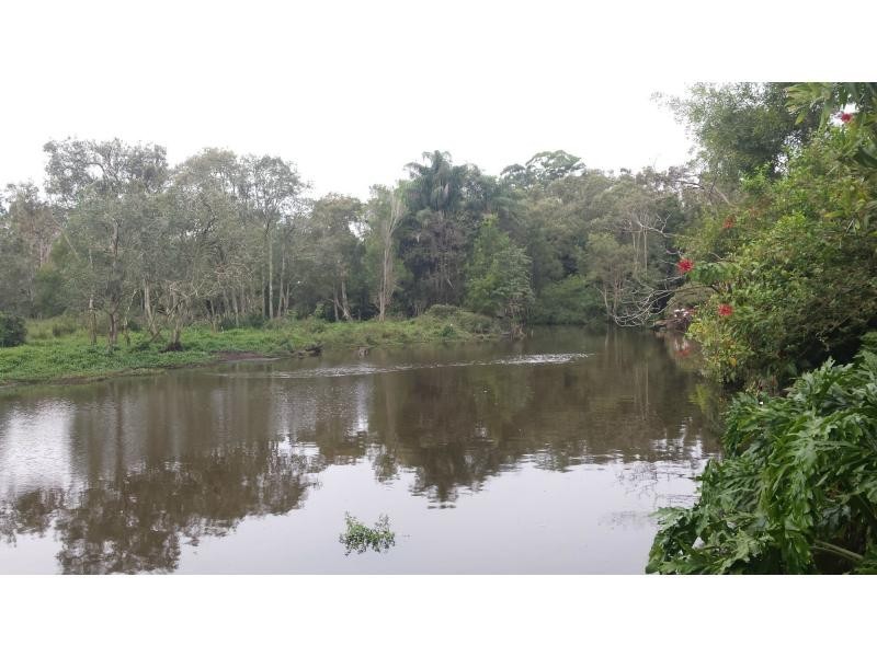 21 PALMWOODS MONTVILLE Road, Palmwoods QLD 4555