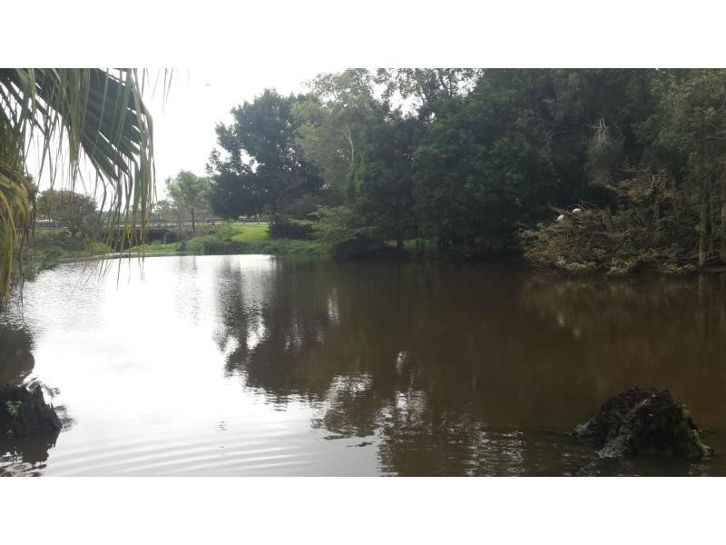 21 PALMWOODS MONTVILLE Road, Palmwoods QLD 4555