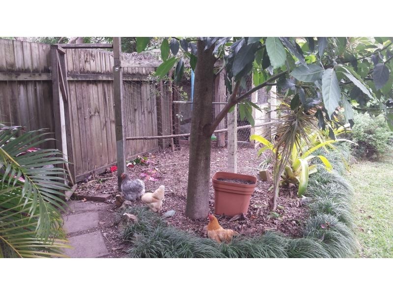 5 STANLEY STREET, Palmwoods QLD 4555