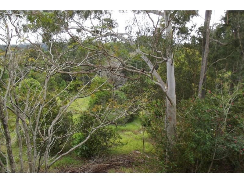 111 KIEL MOUNTAIN Road, Woombye QLD 4559