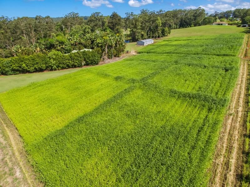 410 CHEVALLUM Road, Chevallum QLD 4555