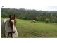 78 SPRING PASTURES Drive, Mapleton QLD 4560