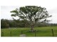 78 SPRING PASTURES Drive, Mapleton QLD 4560