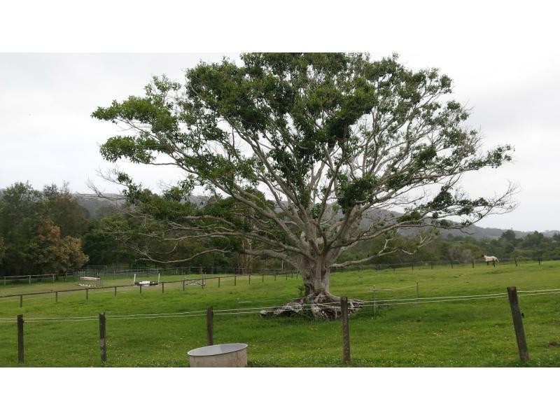 78 SPRING PASTURES Drive, Mapleton QLD 4560