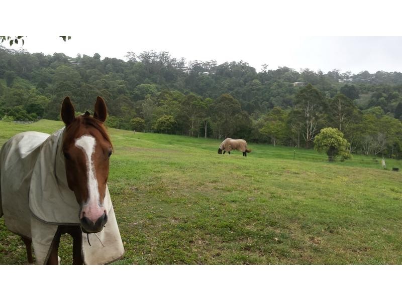 80 Spring Pastures Drive, Mapleton QLD 4560