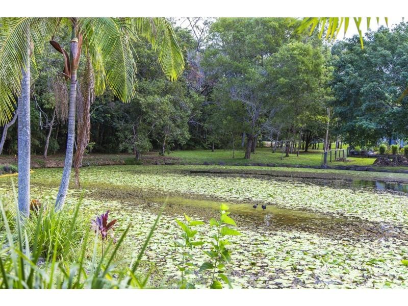38 Rainbird Court, Palmwoods QLD 4555