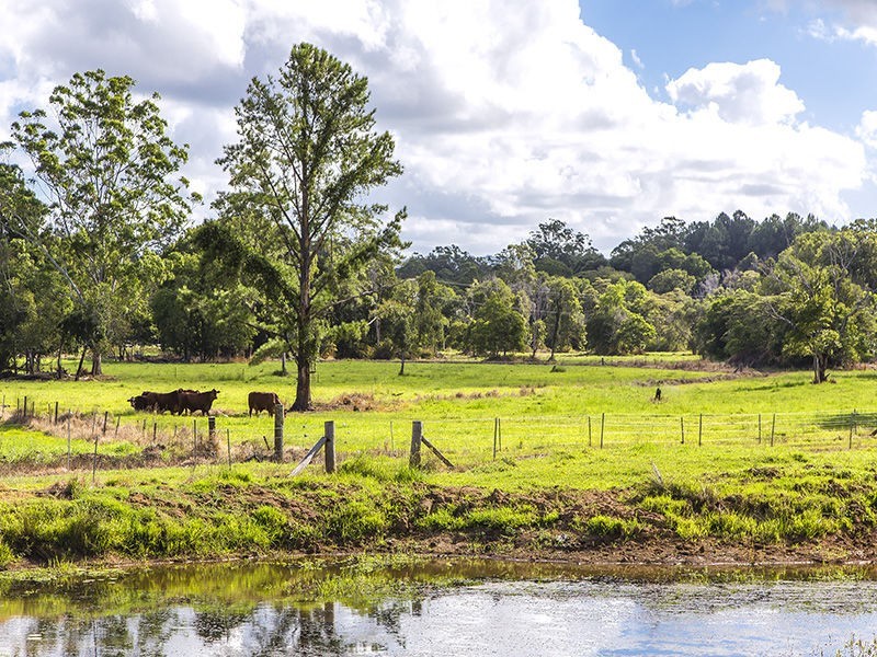 190 Winston Road South, Chevallum QLD 4555