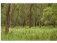 31 Daymar Road, Mapleton QLD 4560