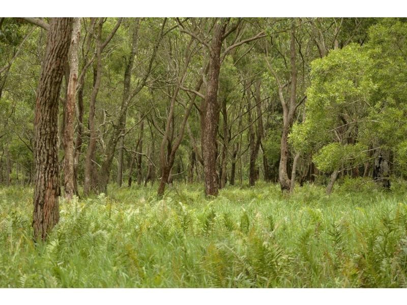 31 Daymar Road, Mapleton QLD 4560
