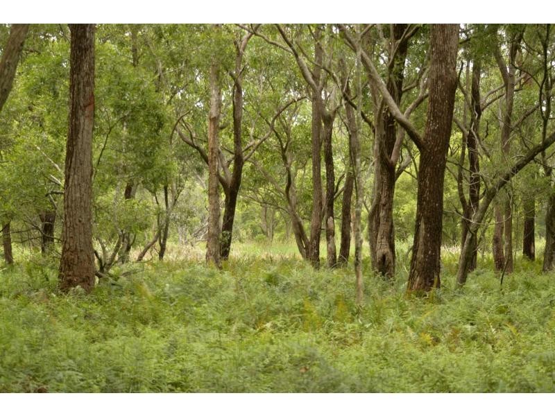 31 Daymar Road, Mapleton QLD 4560