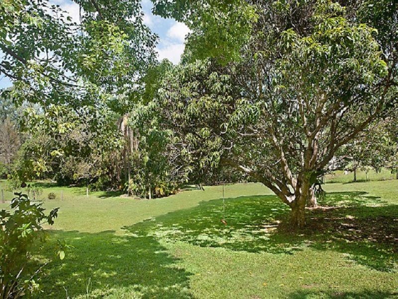 337 Palmwoods Montville Road, Palmwoods QLD 4555