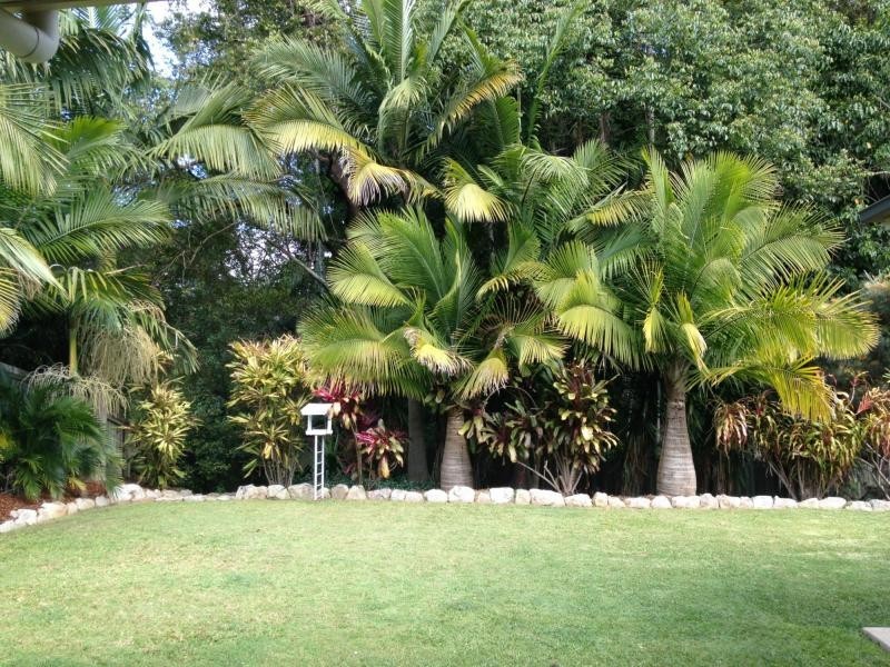 11 Countryview Street, Woombye QLD 4559