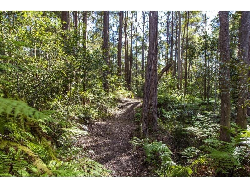 89 SLAUGHTER YARD Road, Ilkley QLD 4554