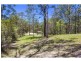 Mooloolah Valley QLD 4553